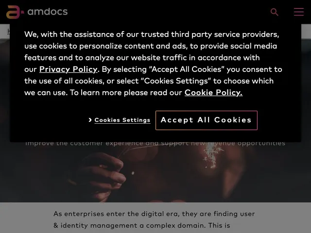 Amdocs Customer management Screenshot