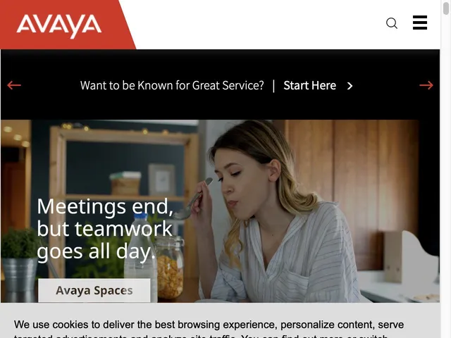 Avaya Aura Platform Screenshot