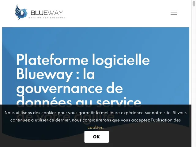 Blueway Process Intelligence Screenshot
