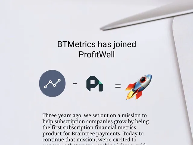 Braintree Metrics Screenshot