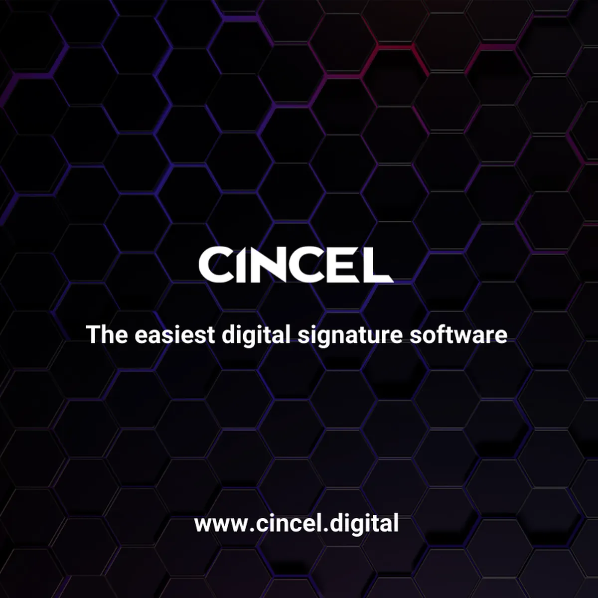 CINCEL Review