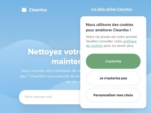 Cleanfox Screenshot