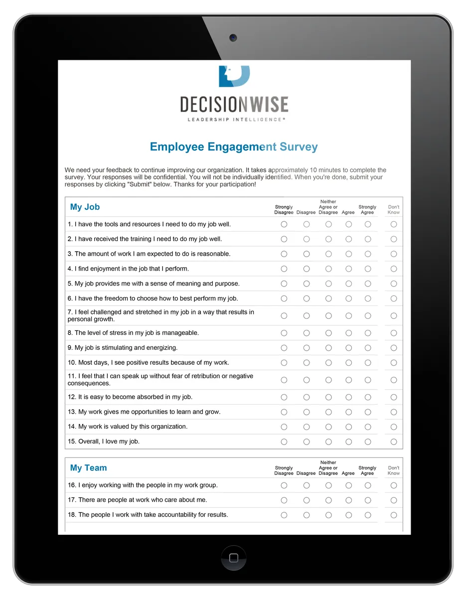 DecisionWise Review