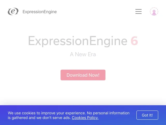 ExpressionEngine Screenshot