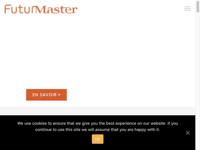 Futurmaster Advanced Promotion Management Screenshot