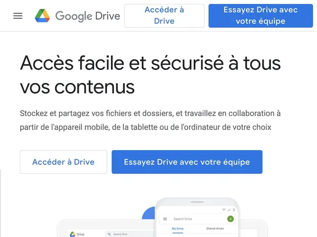 Google Traffic Director Screenshot