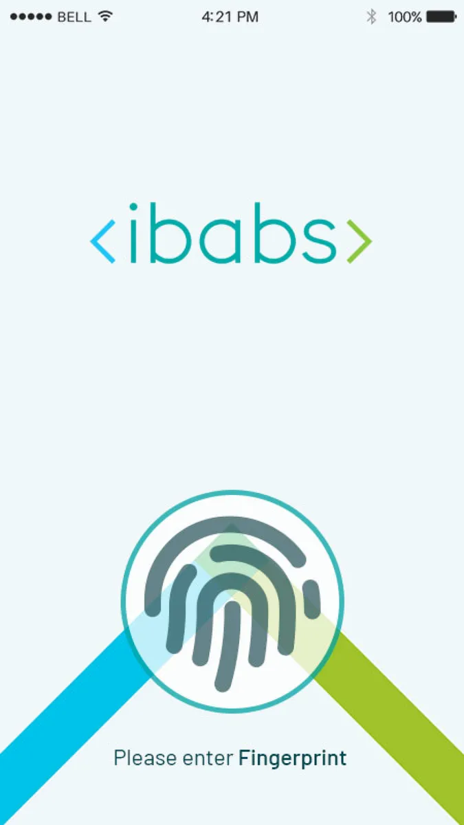 iBabs Features