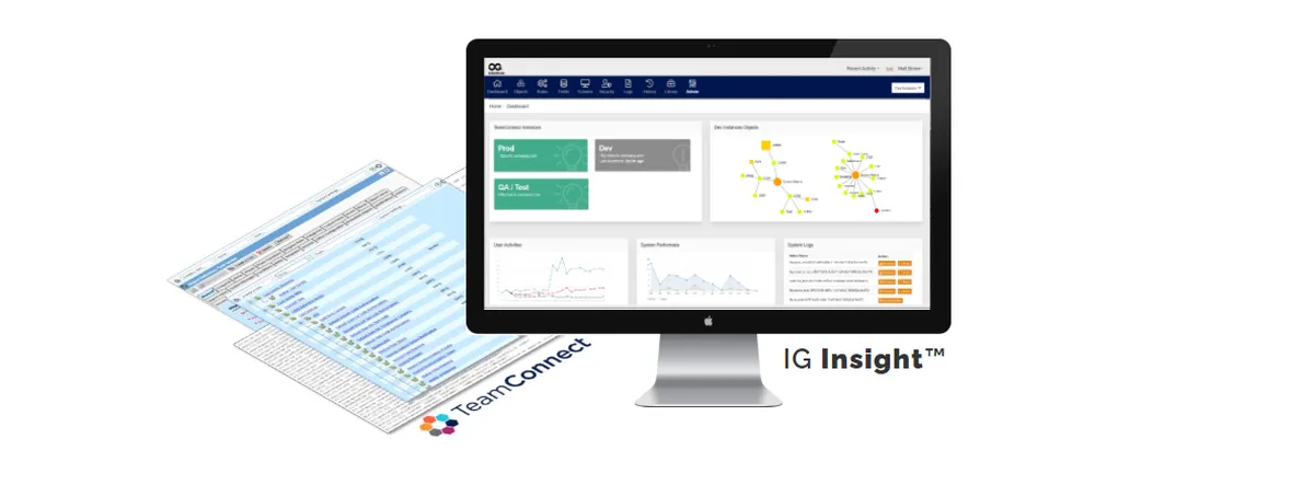IG Insight Review