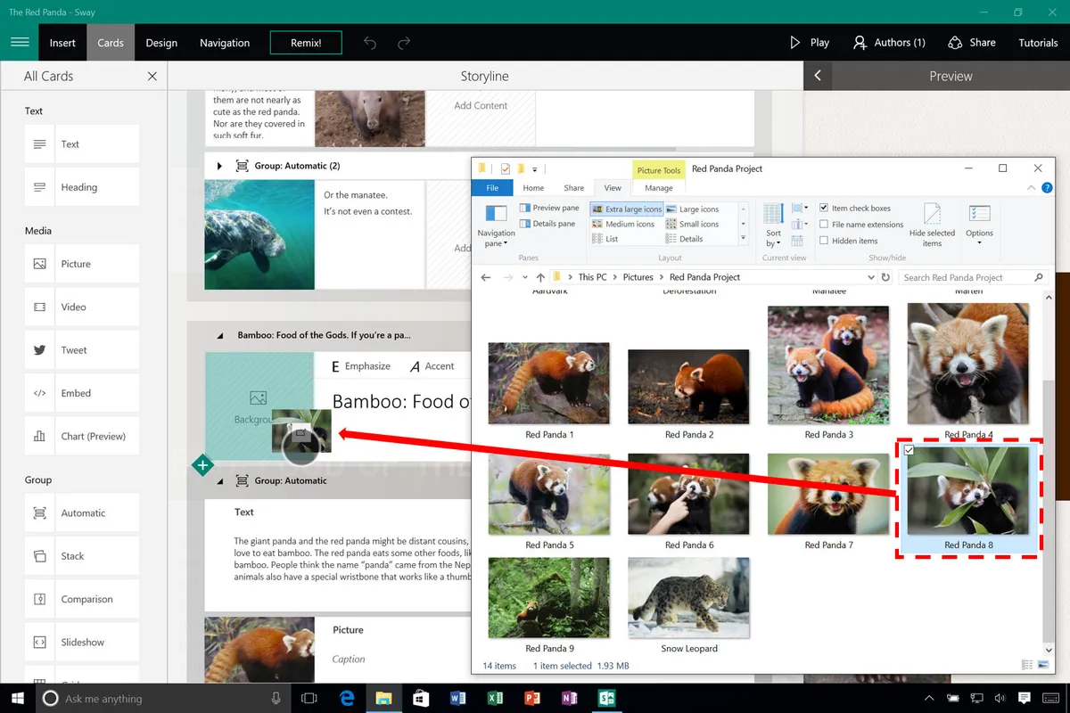 Microsoft Sway Features