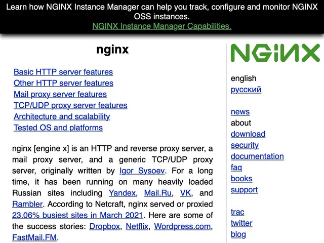 Nginx Screenshot