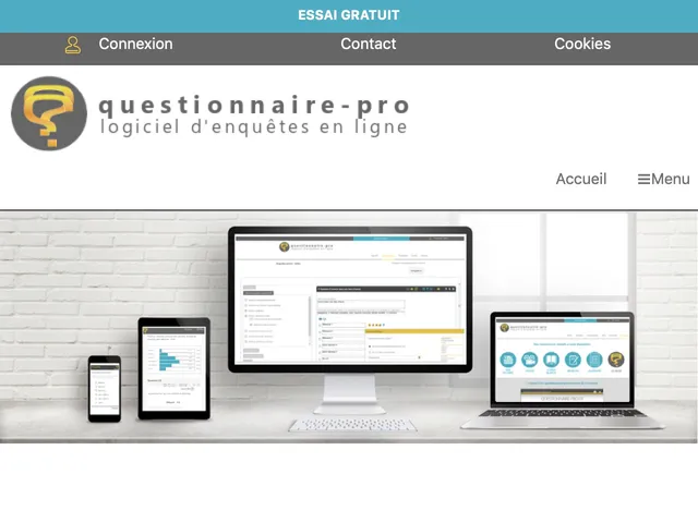 Questionnaire-pro.fr Screenshot