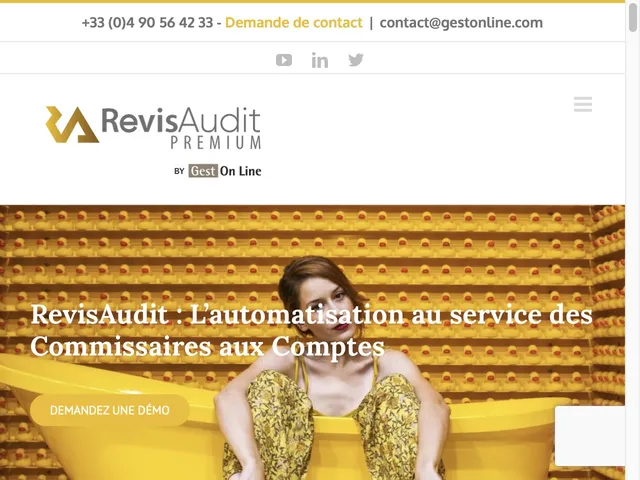 RevisAudit Premium Screenshot