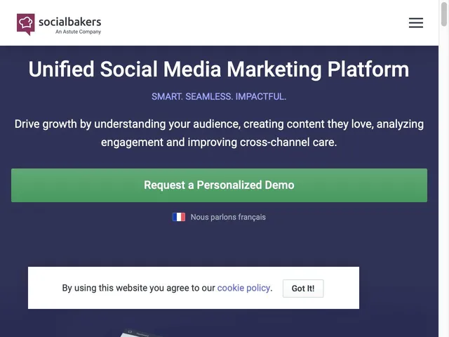 Socialbakers Screenshot