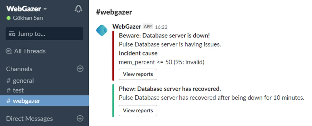 WebGazer Features