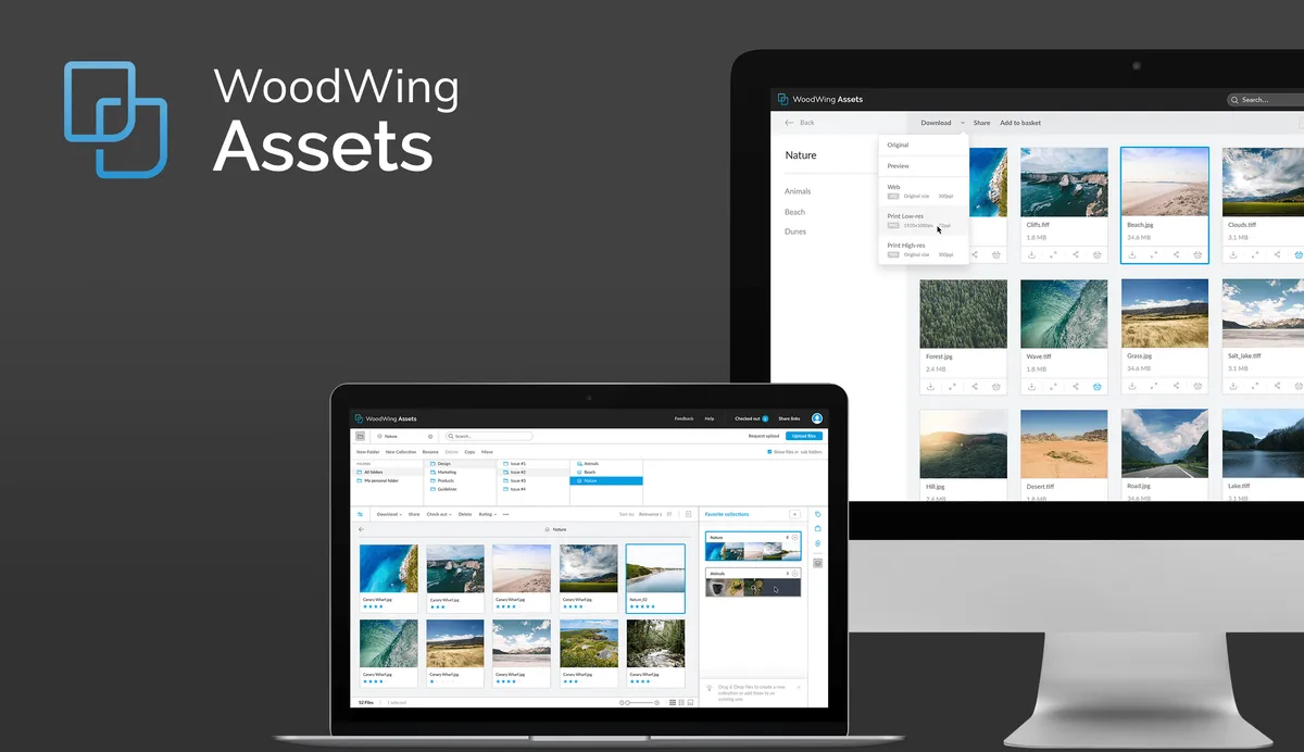 WoodWing Assets Review